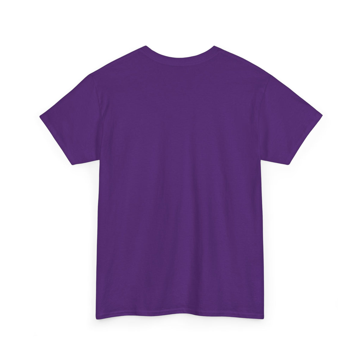 Vintage Script Quote T-Shirt — “One could almost hear the sound of stones dropping to the ground”