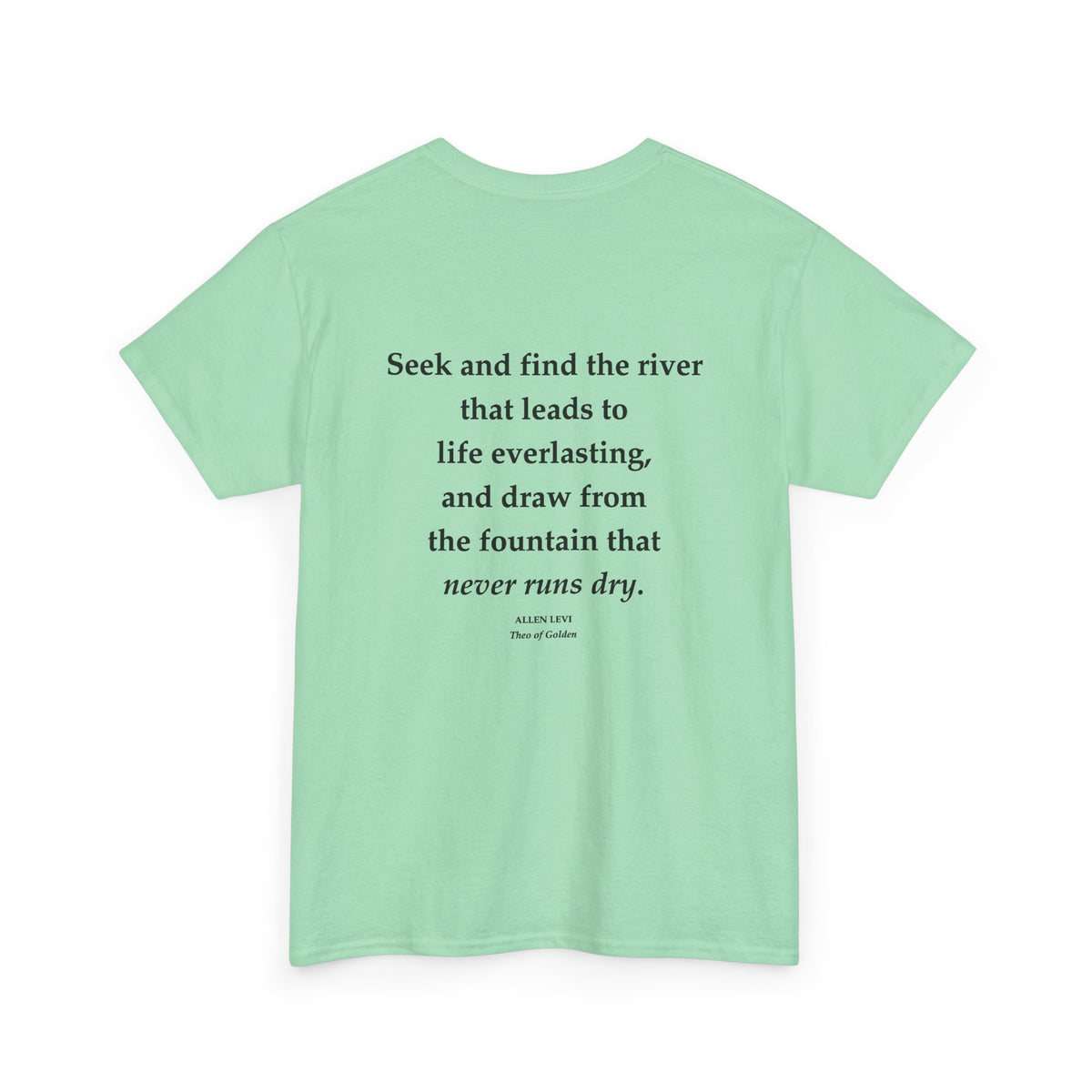Inspirational Quote T‑Shirt — “Seek and Find the River” Feather Graphic