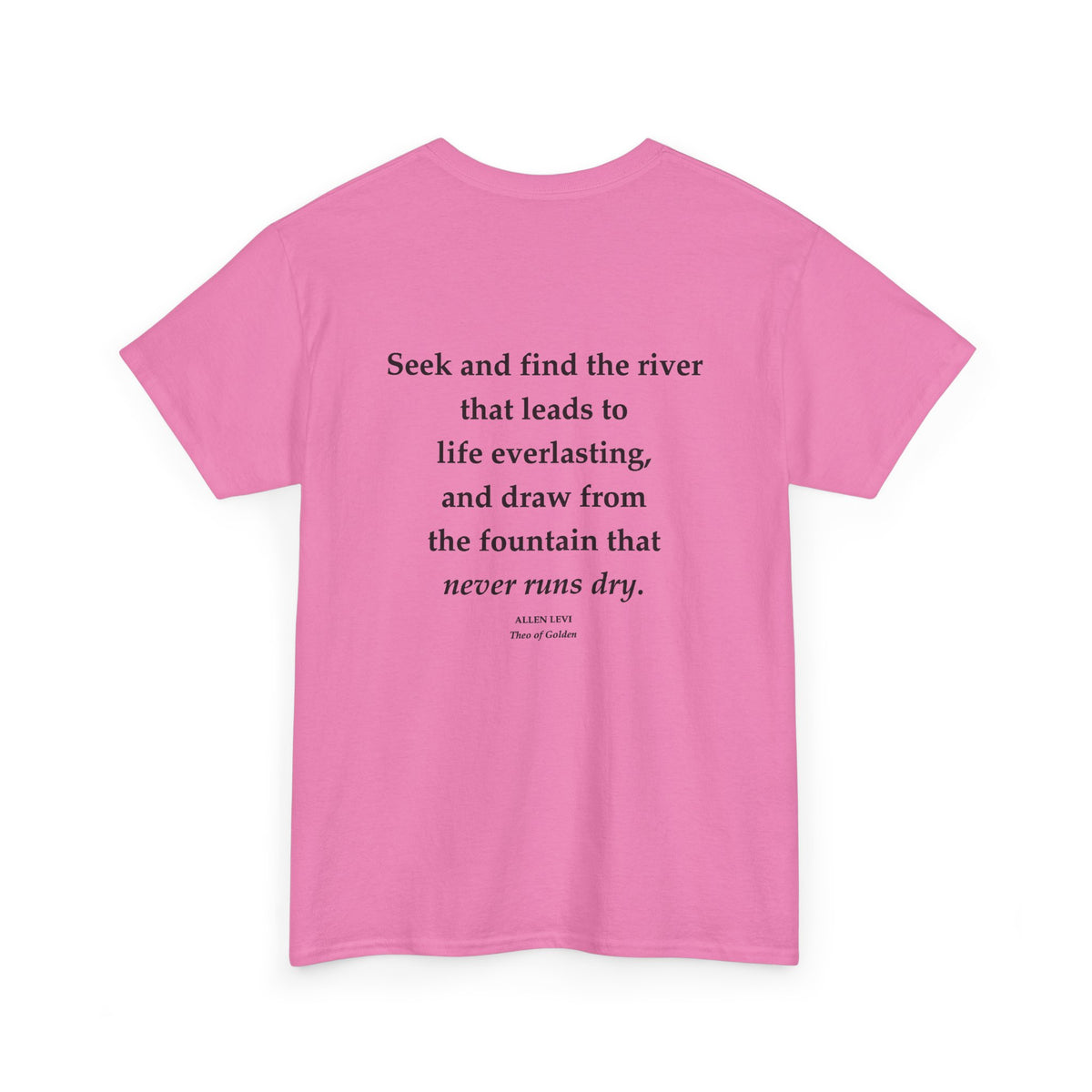 Inspirational Quote T‑Shirt — “Seek and Find the River” Feather Graphic