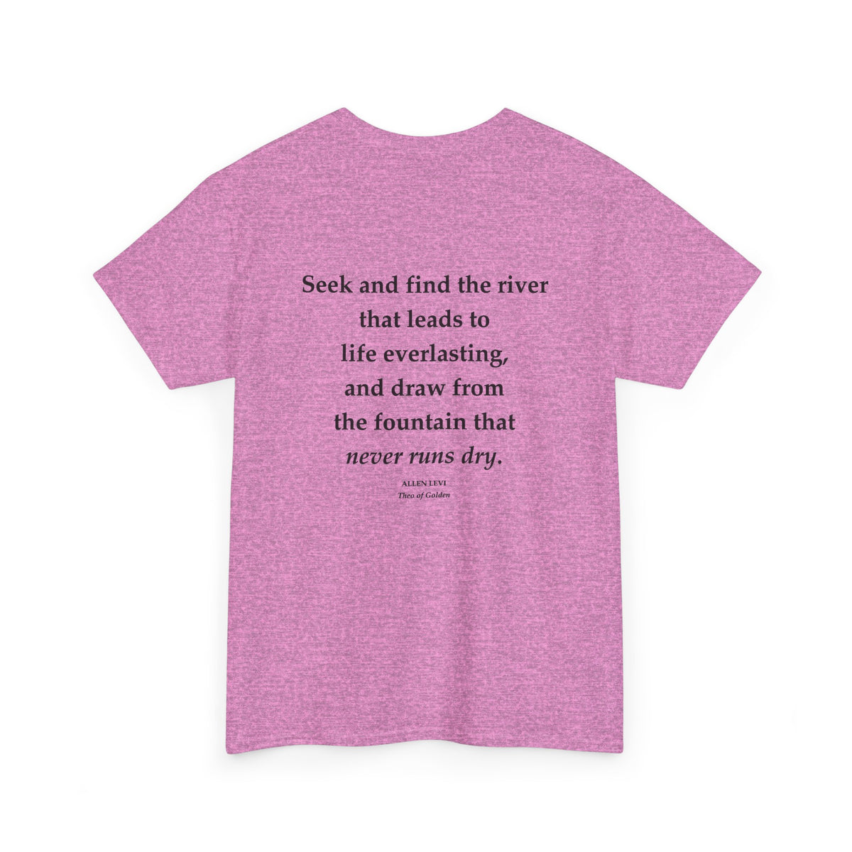Inspirational Quote T‑Shirt — “Seek and Find the River” Feather Graphic